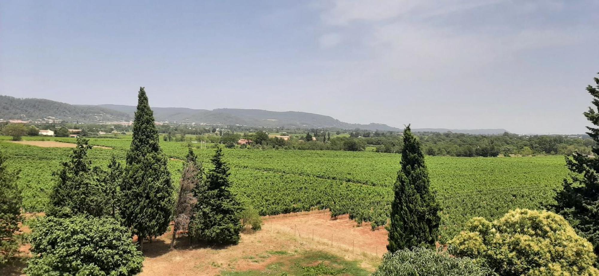 Bed And Breakfast La Grande Lauzade ル・リュック 部屋 写真