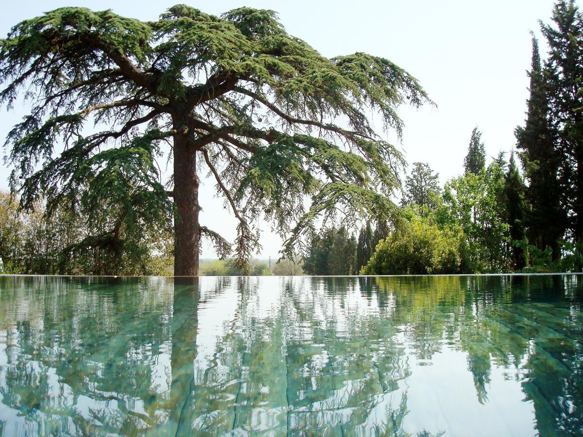 Bed And Breakfast La Grande Lauzade ル・リュック エクステリア 写真